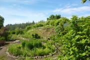 P1020085_1000